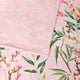 Cherry Blossom